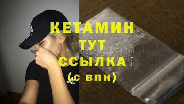 дмт Богданович