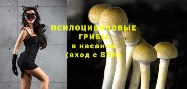 дмт Богданович