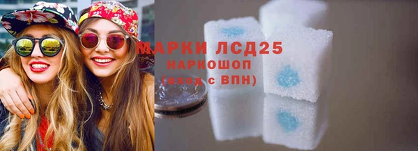 дмт Богданович