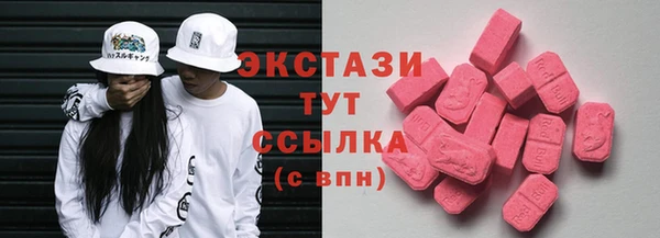 дмт Богданович