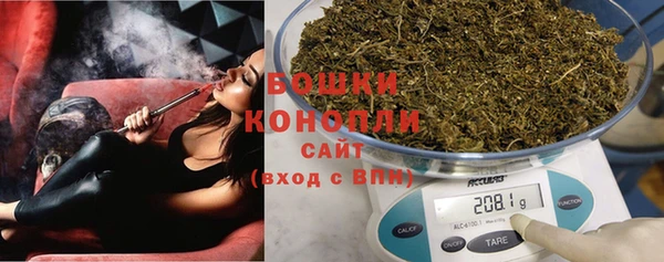 дмт Богданович