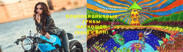 амф Богородск